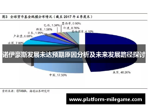 诺伊豪斯发展未达预期原因分析及未来发展路径探讨