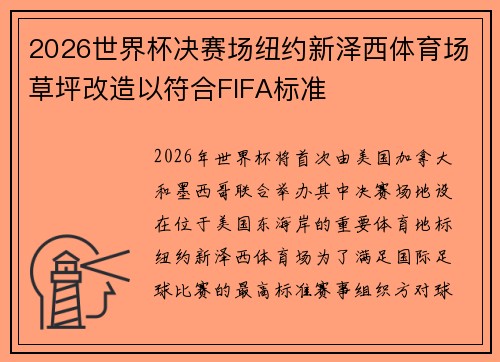 2026世界杯决赛场纽约新泽西体育场草坪改造以符合FIFA标准